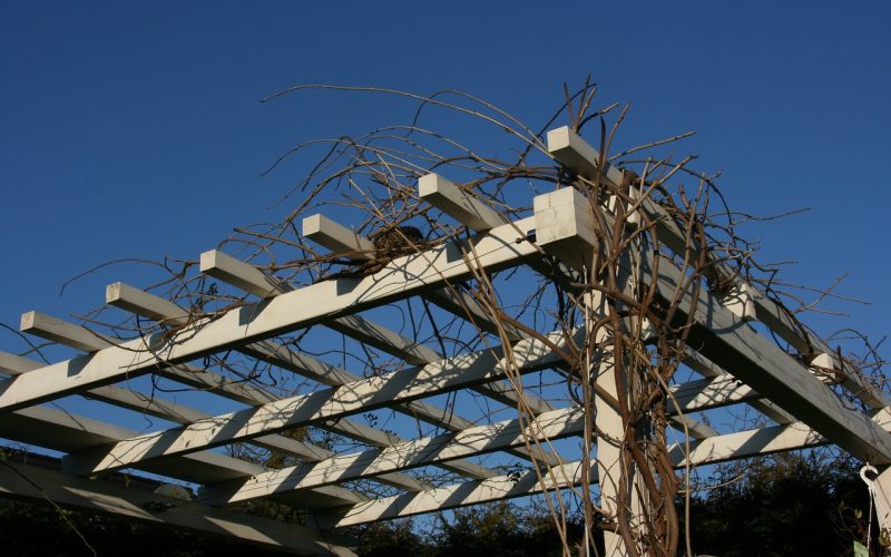 Vad är en Pergola? Allt du Bör Veta!