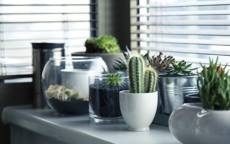 Härliga idéer av Rumsdekoration med Blommor och Ljus [Romantiska Inredningstips]