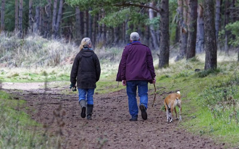 Vara frisk och utvilad inför byggprojekten