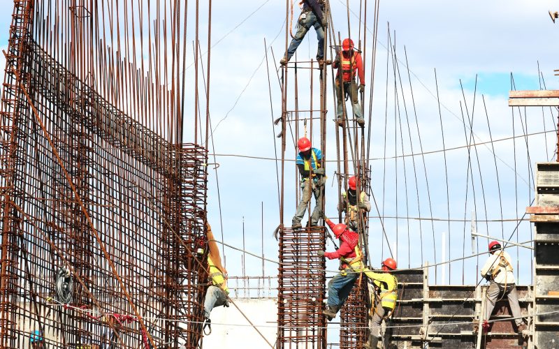 Storskalig investering i träbyggande: 119 miljoner kronor till forskning för en hållbar framtid